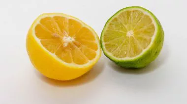 garnishing-instructions-image